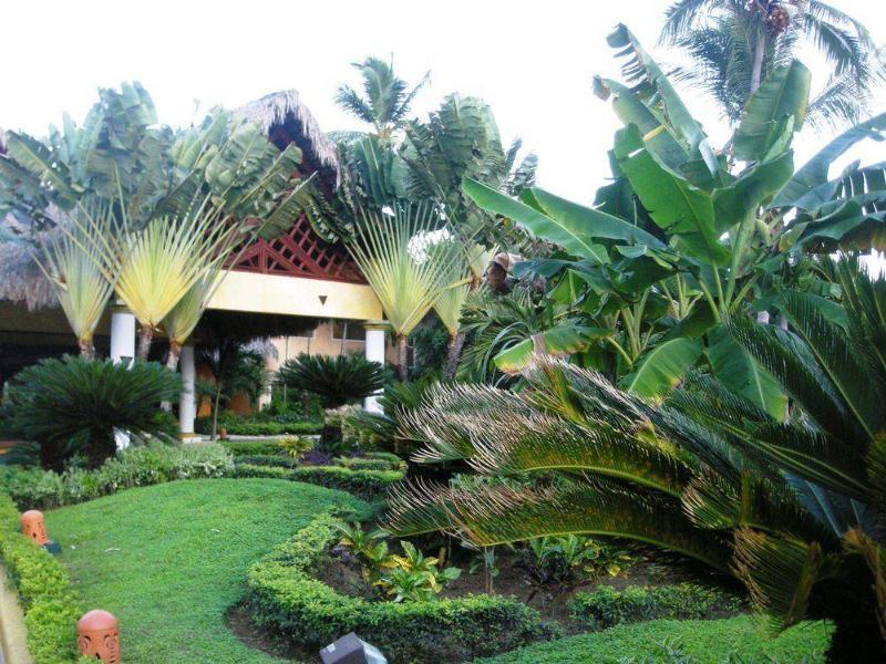 Vik Hotel Cayena Beach All Inclusive Punta Cana Exterior photo